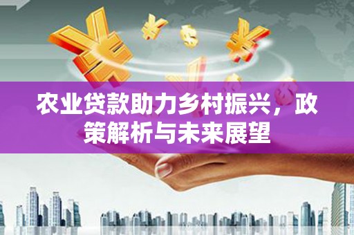 乳源农业贷款助力乡村振兴，政策解析与未来展望
