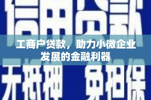 乳源工商户贷款，助力小微企业发展的金融利器