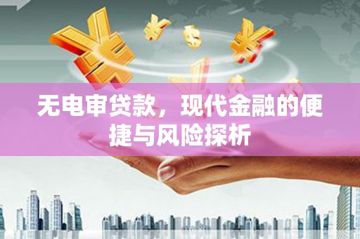 乳源无电审贷款，现代金融的便捷与风险探析