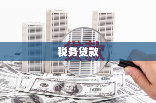 乳源税务贷款