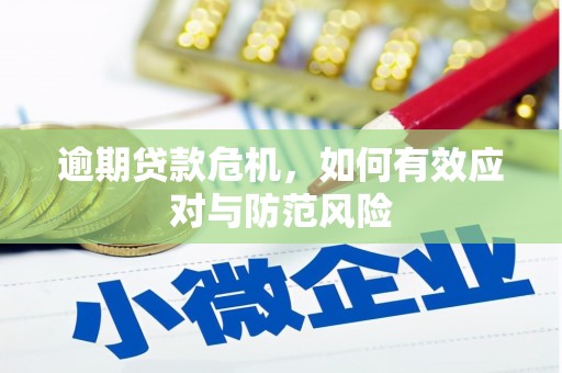 乳源逾期贷款危机，如何有效应对与防范风险