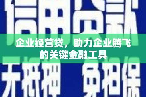 乳源企业经营贷，助力企业腾飞的关键金融工具
