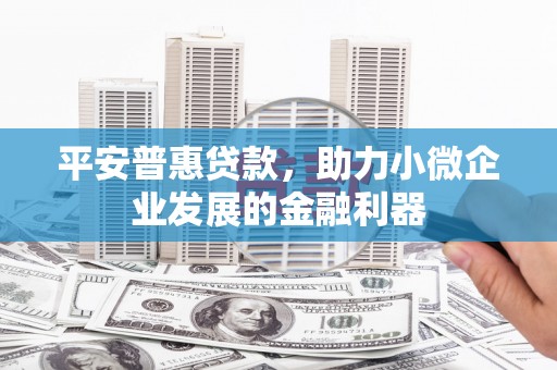 乳源平安普惠贷款，助力小微企业发展的金融利器
