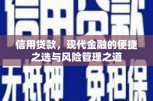 乳源信用贷款，现代金融的便捷之选与风险管理之道
