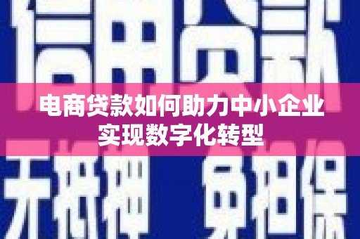 乳源电商贷款如何助力中小企业实现数字化转型