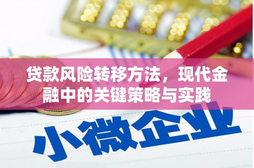 乳源贷款风险转移方法，现代金融中的关键策略与实践