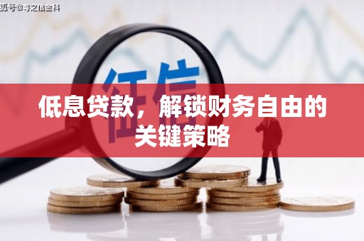 乳源低息贷款，解锁财务自由的关键策略