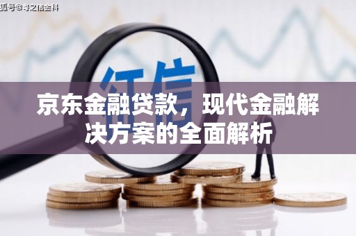 乳源京东金融贷款，现代金融解决方案的全面解析