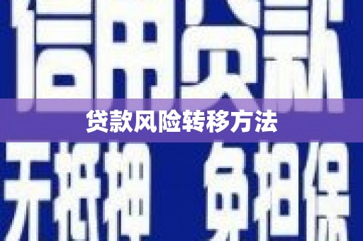 乳源贷款风险转移方法