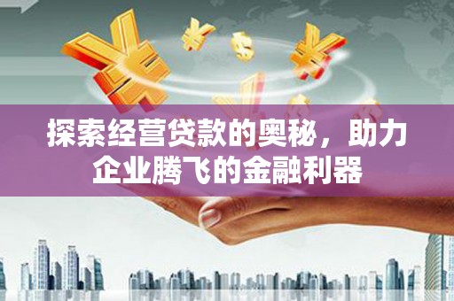 乳源探索经营贷款的奥秘，助力企业腾飞的金融利器