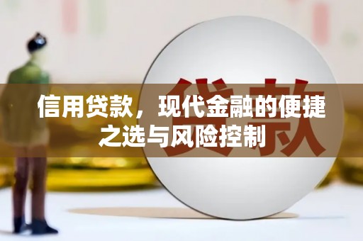 乳源信用贷款，现代金融的便捷之选与风险控制