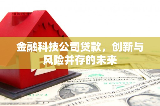乳源金融科技公司贷款，创新与风险并存的未来