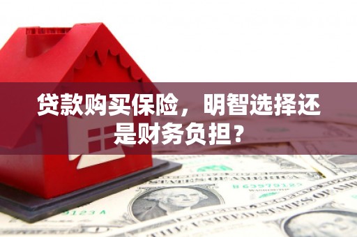 乳源贷款购买保险，明智选择还是财务负担？