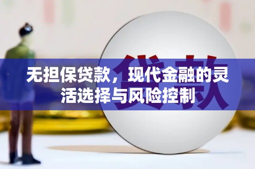 乳源无担保贷款，现代金融的灵活选择与风险控制