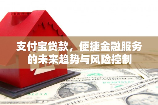 乳源支付宝贷款，便捷金融服务的未来趋势与风险控制