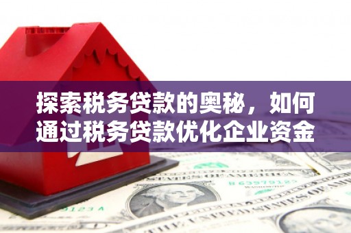 乳源探索税务贷款的奥秘，如何通过税务贷款优化企业资金流