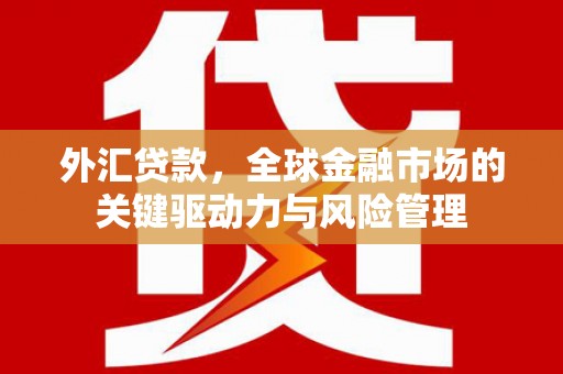 乳源外汇贷款，全球金融市场的关键驱动力与风险管理