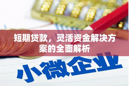 乳源短期贷款，灵活资金解决方案的全面解析