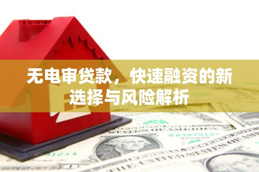 乳源无电审贷款，快速融资的新选择与风险解析