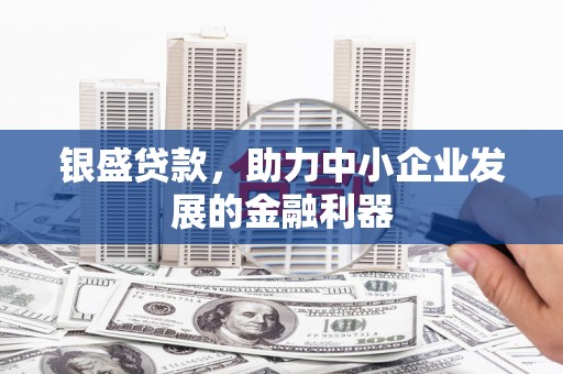 乳源银盛贷款，助力中小企业发展的金融利器