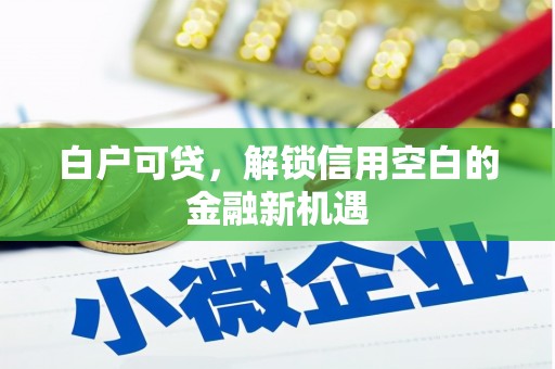乳源白户可贷，解锁信用空白的金融新机遇