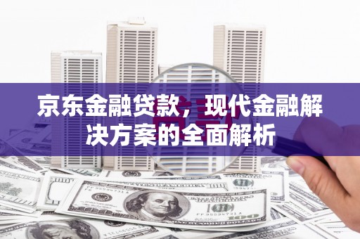 乳源京东金融贷款，现代金融解决方案的全面解析
