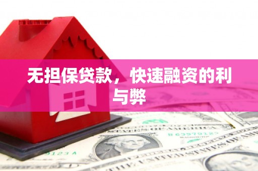 乳源无担保贷款，快速融资的利与弊