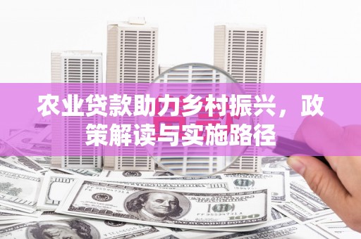 乳源农业贷款助力乡村振兴，政策解读与实施路径