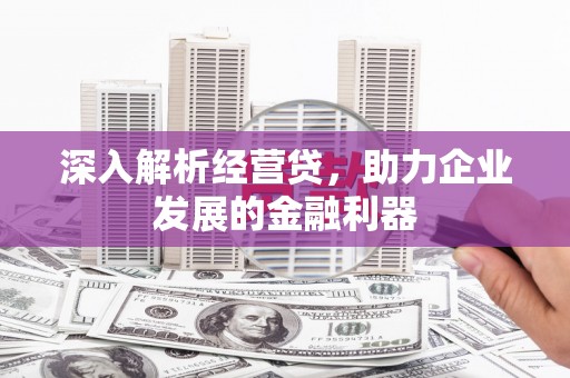 乳源深入解析经营贷，助力企业发展的金融利器