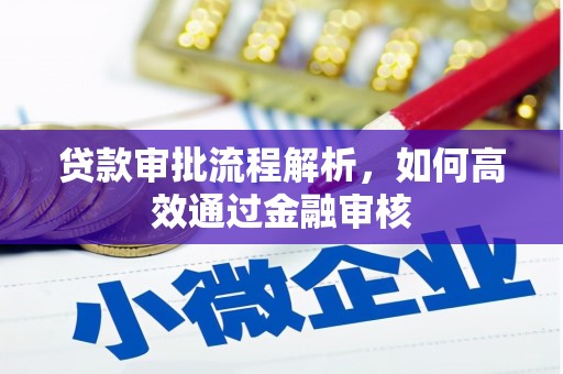 乳源贷款审批流程解析，如何高效通过金融审核