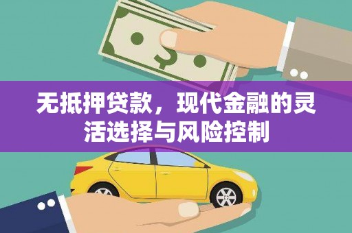 乳源无抵押贷款，现代金融的灵活选择与风险控制
