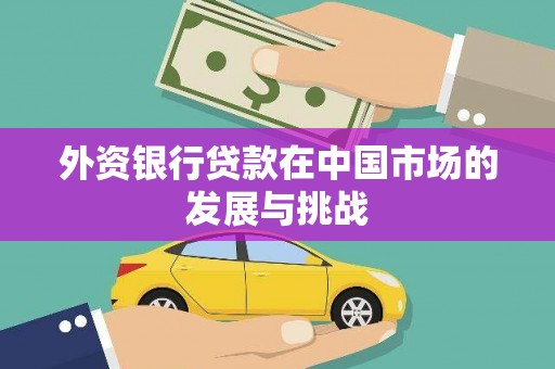 乳源外资银行贷款在中国市场的发展与挑战