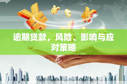 乳源逾期贷款，风险、影响与应对策略