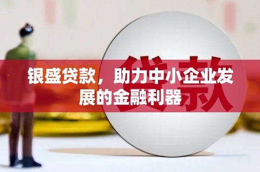乳源银盛贷款，助力中小企业发展的金融利器
