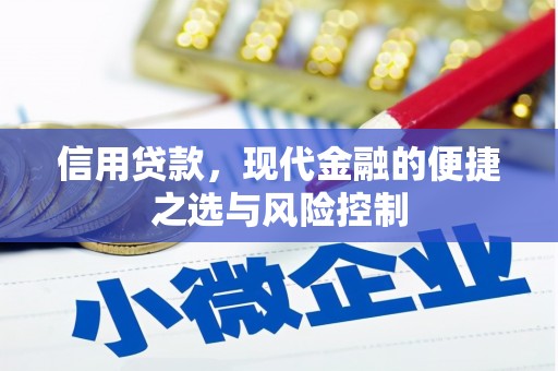 乳源信用贷款，现代金融的便捷之选与风险控制