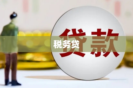 乳源税务贷