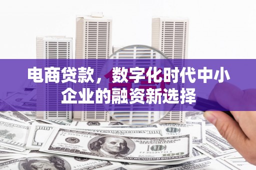乳源电商贷款，数字化时代中小企业的融资新选择