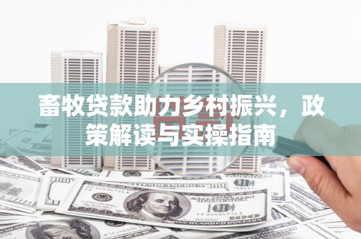 乳源畜牧贷款助力乡村振兴，政策解读与实操指南