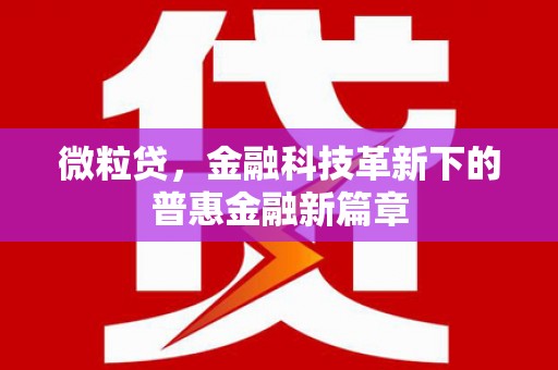 乳源微粒贷，金融科技革新下的普惠金融新篇章