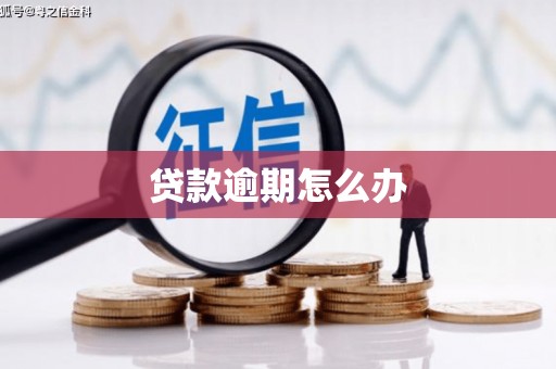 乳源贷款逾期怎么办