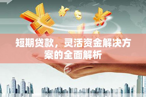 乳源短期贷款，灵活资金解决方案的全面解析
