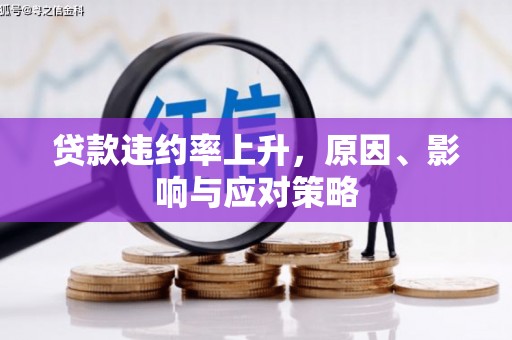 乳源贷款违约率上升，原因、影响与应对策略