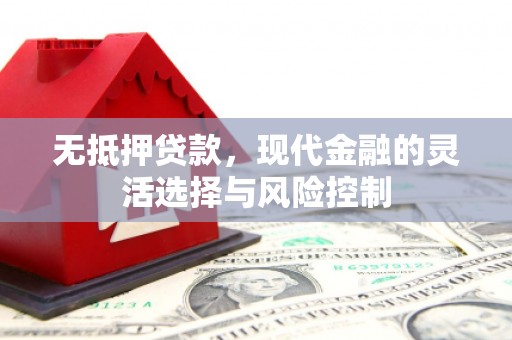 乳源无抵押贷款，现代金融的灵活选择与风险控制