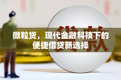 乳源微粒贷，现代金融科技下的便捷借贷新选择