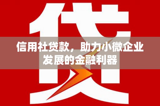 乳源信用社贷款，助力小微企业发展的金融利器