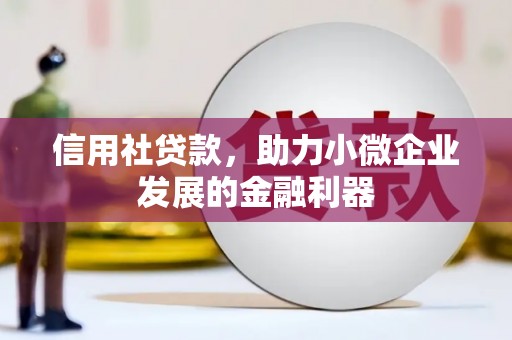 乳源信用社贷款，助力小微企业发展的金融利器