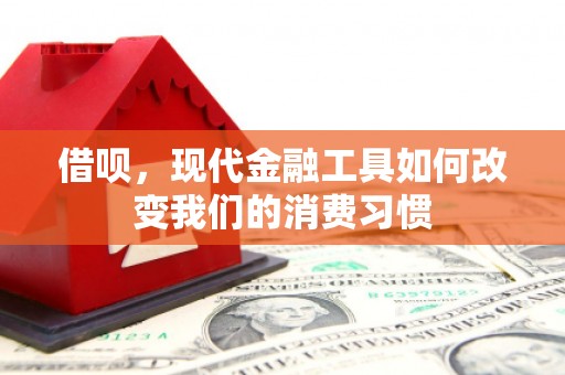乳源借呗，现代金融工具如何改变我们的消费习惯
