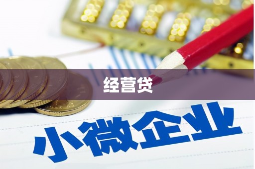 乳源经营贷