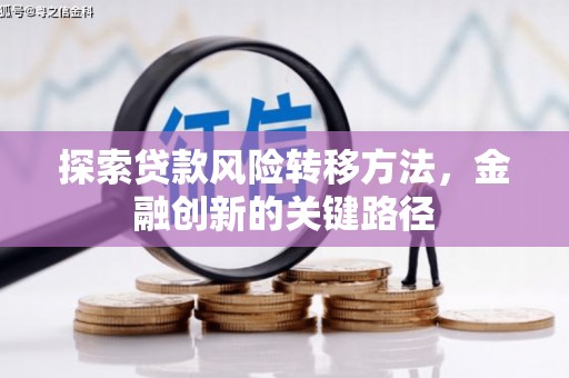 乳源探索贷款风险转移方法，金融创新的关键路径