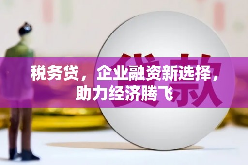 乳源税务贷，企业融资新选择，助力经济腾飞